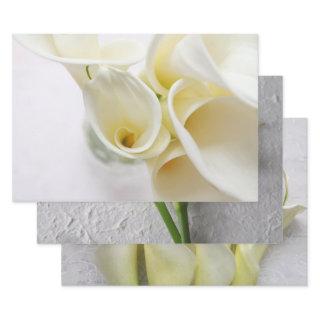 Fresh calla lilies  sheets