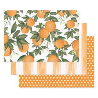 Fresh Citrus Orange Summer Botanical Greenery  Sheets