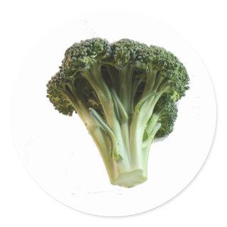 Fresh Jade Green Broccoli Floweret Closeup Photo  Classic Round Sticker