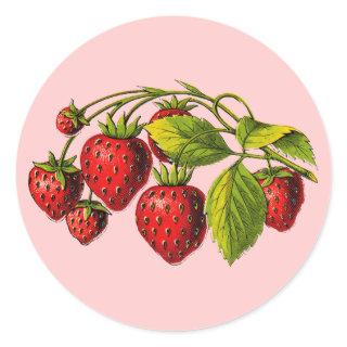 Fresh Strawberries Classic Round Sticker