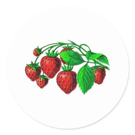Fresh Strawberries Classic Round Sticker