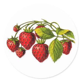 Fresh Strawberries Classic Round Sticker