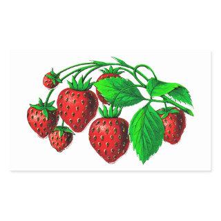 Fresh Strawberries Rectangular Sticker