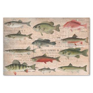 Freshwater Fish of North America Decoupage  Tissue Paper