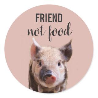 friend, not food with cute piglet vegan classic round sticker