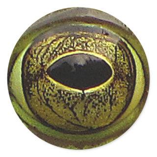 Frog Eye Classic Round Sticker