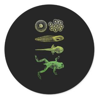 Frog Tadpole  Metamorphosis Life Cycle Biology Classic Round Sticker
