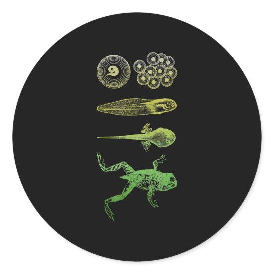 Frog Tadpole  Metamorphosis Life Cycle Biology Classic Round Sticker