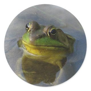 Frog with Attitude Classic Round Sticker