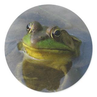 Frog with Attitude Classic Round Sticker