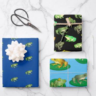 Frogs  Set