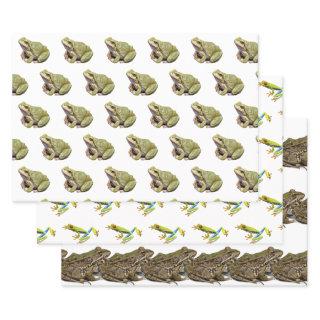 Frogs  Sheets