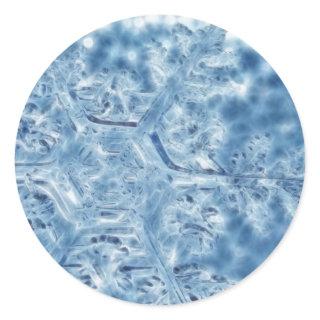 Frozen Ice Crystal Fractal Snowflake Classic Round Sticker