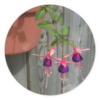 Fuchsia Stickers