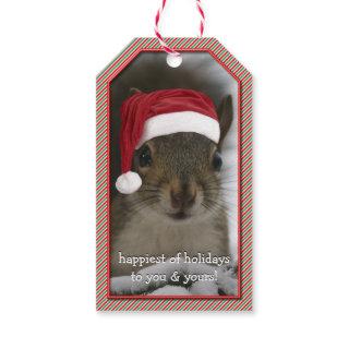 Fun Santa Squirrel Wearing Santa Hat Gift Tags