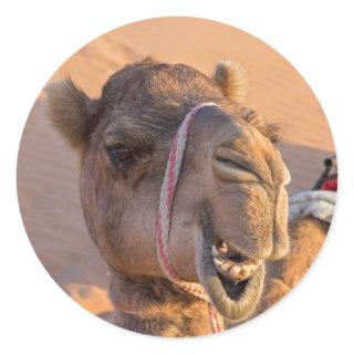 Funny Camel Classic Round Sticker