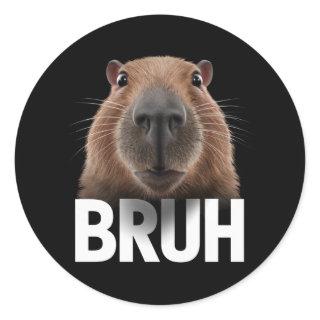 Funny Capybara Bruh  Classic Round Sticker