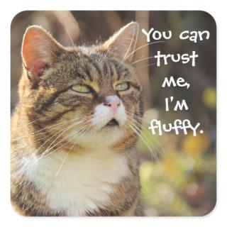 Funny Cat Caption Trust Me I'm Fluffy Square Sticker