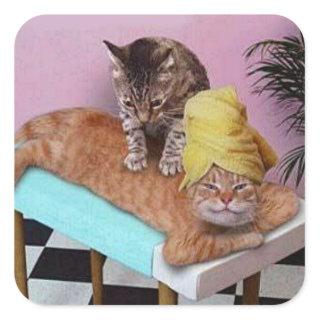 Funny Cat Massage Square Sticker
