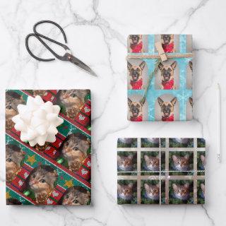 Funny Christmas Pets Gift  Sheets