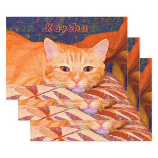 Funny Cute Bright Orange Tabby Cat Decoupage  Sheets