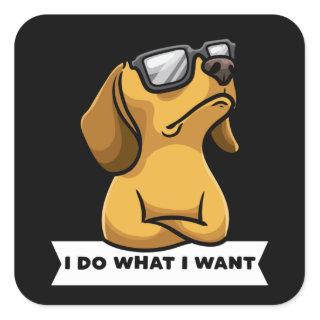 Funny Dachhund dog funny Gift Idea Square Sticker