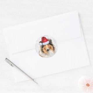 Funny Dog Lover Christmas Rough Collie Classic Round Sticker