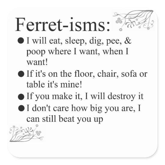Funny Ferrets Square Sticker