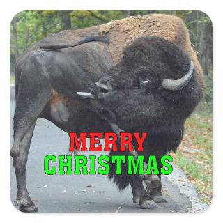 Funny Merry Christmas Bull Bison Licking Testicles Square Sticker