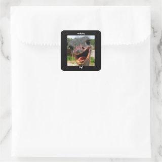 Funny Ostrich Bird Photo What's Up Square Sticker