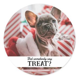 Funny Pet Photo  Classic Round Sticker