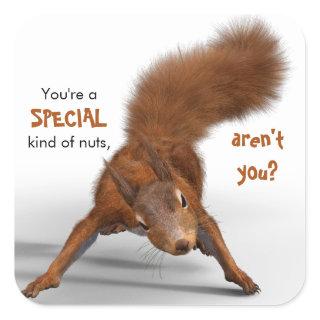 Funny Photo of Red Squirrel | Special Kind of Nuts Square Sticker