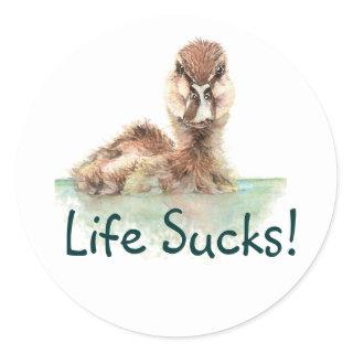 Funny Quote, Life Sucks, Angry Duck, Bird Square S Classic Round Sticker