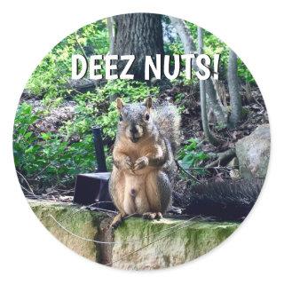 Funny Squirrel Deez Nuts Inappropriate Humor Photo Classic Round Sticker