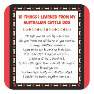 Funny Things I Learned From Australian Cattle Dog Square Sticker