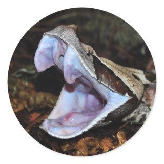 Gaboon viper classic round sticker