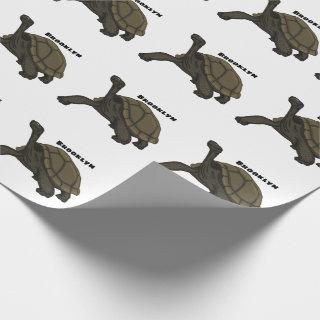 Galapagos land tortoise illustration