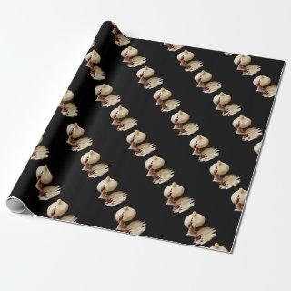 Garlic cloves of Garlic