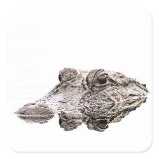 Gator Sticker