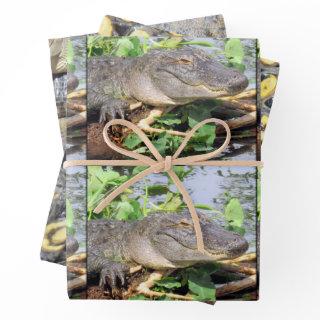 Gator  Sheets - 3 Design Set