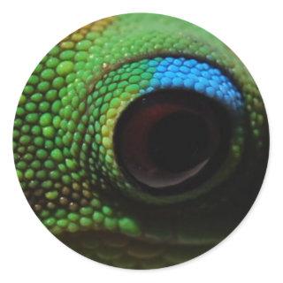 Gecko Eyeball Classic Round Sticker