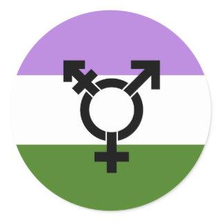 Genderqueer Pride Flag Classic Round Sticker