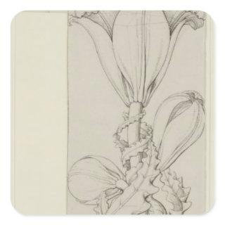 Genius of the Lily, 1809 Square Sticker