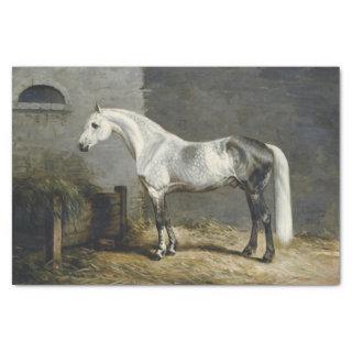 Genuine (Not AI) Dapple Gray Horse Painting Tissue Paper