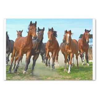 Genuine (not AI) Image of Running Galloping Horses Tissue Paper