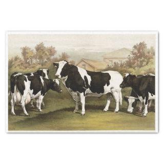 Genuine (not AI) Vintage Cows in a Field Tissue Paper
