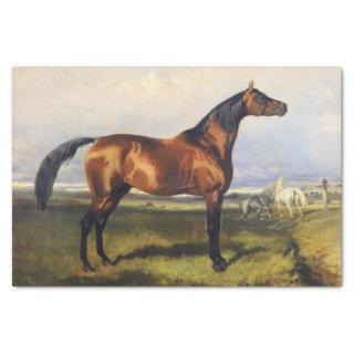 Genuine (not AI) Vintage Horse Painting Tissue Paper