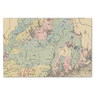 Geological map of Maine Tissue Paper