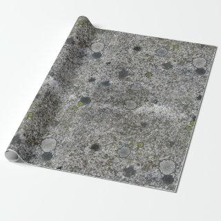 Geology Rock Gray Granite with Green Moss