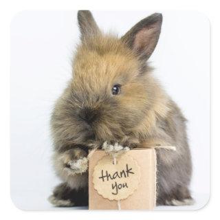 Getty Images | Dwarf Rabbit Square Sticker